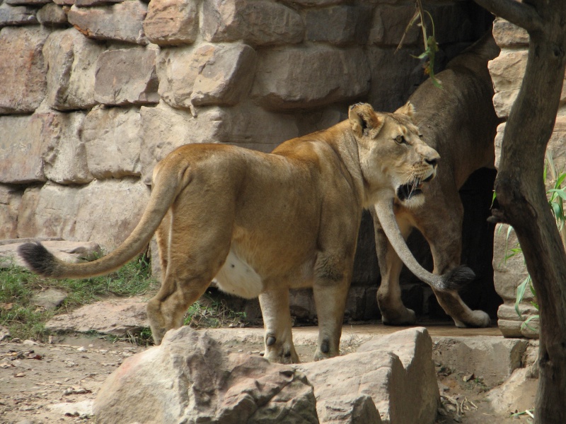 20100206 505.JPG